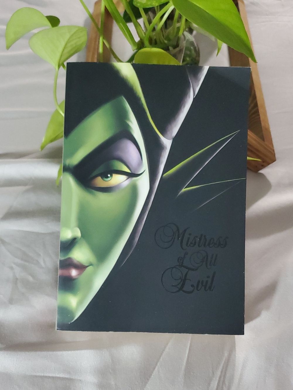 MISTRESS OF ALL EVIL- A TALE OF THE DARK FAIRY